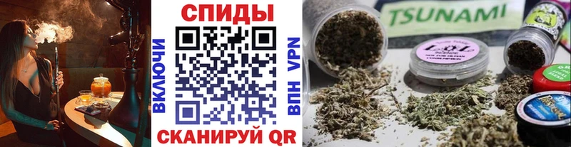 маркетплейс формула  Маркс  Бутират BDO 