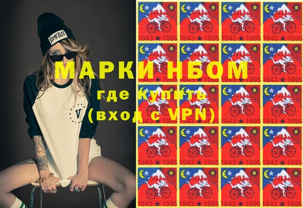 ешки Аркадак