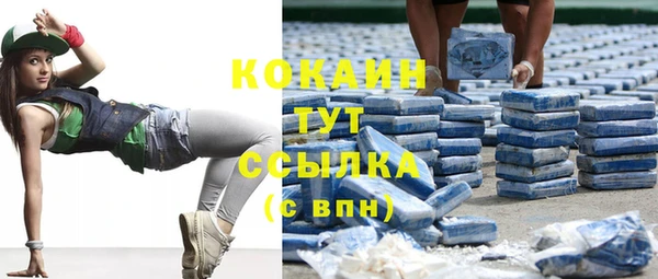 дмт Семёнов