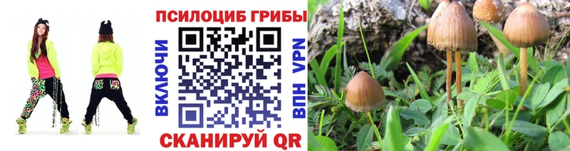 где продают   площадка формула  Псилоцибиновые грибы Magic Shrooms  Маркс 